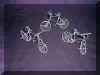 bicycles.jpg (277788 bytes)