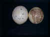 carvedeggs.jpg (209274 bytes)