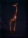 giraffelarge.jpg (219327 bytes)